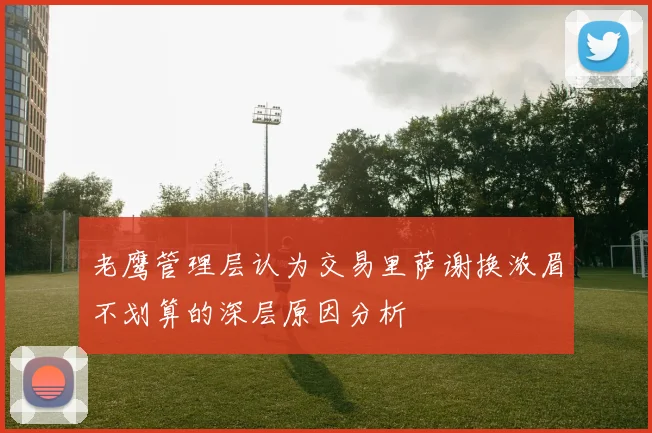 老鹰管理层认为交易里萨谢换浓眉不划算的深层原因分析