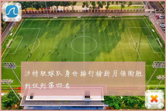 沙特联球队身价排行榜新月领衔胜利仅列第四名