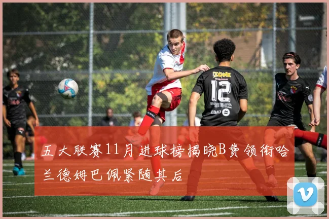 五大联赛11月进球榜揭晓B费领衔哈兰德姆巴佩紧随其后